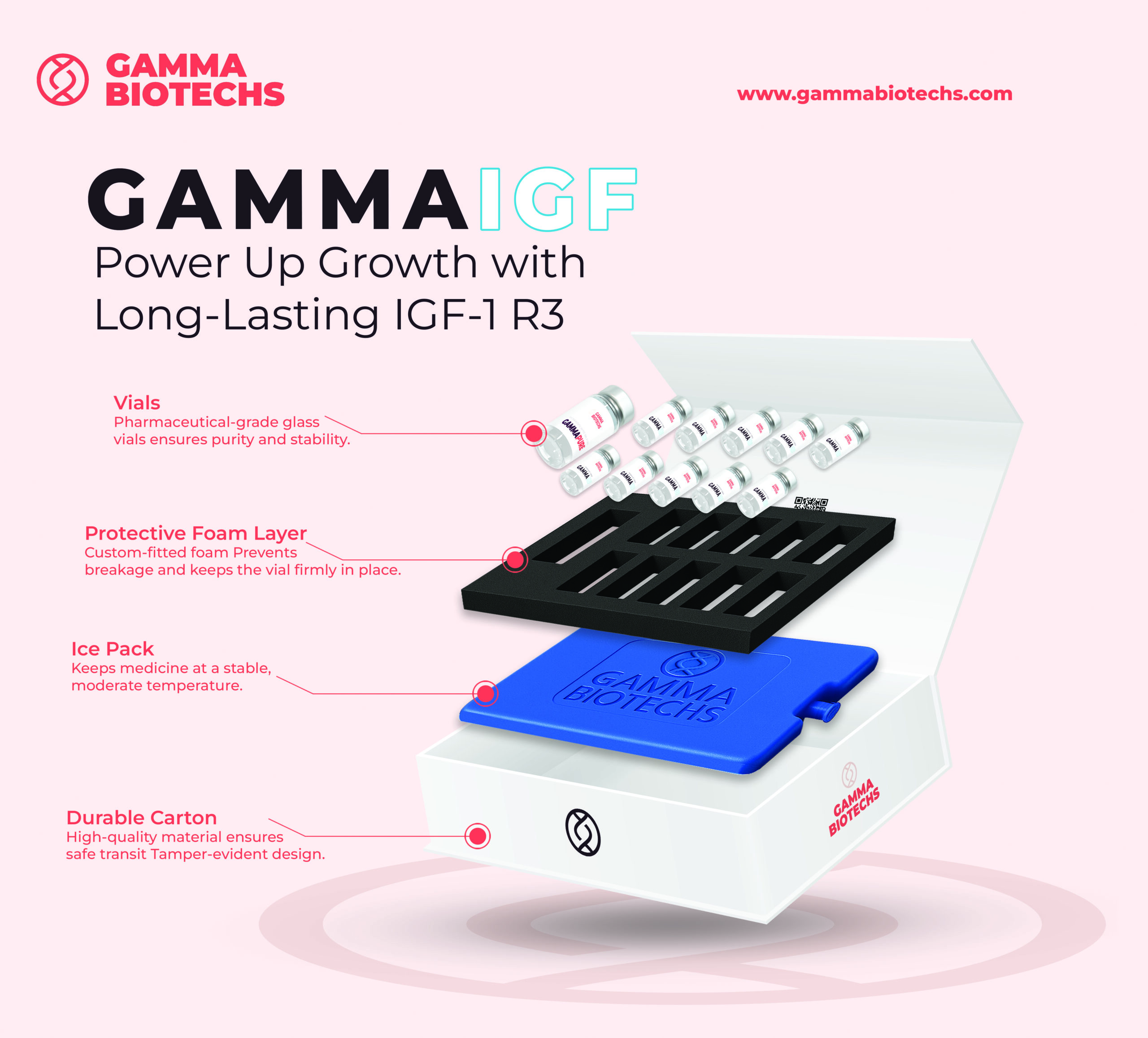 GAMMA IGF - Image 2